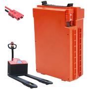 HJGHY Batería para Carretilla elevadora eléctrica de 24 V y 48 V, batería LiFePO4 de 15 Ah, 20 Ah, 30 Ah y 40 Ah, baterías para Carretilla elevadora Manual con asa para CBD15/20.,48v20ah