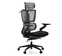 hjh OFFICE Ergo U2 Flex3 - Silla de oficina profesional giratoria con respaldo de malla transpirable y asiento resistente, soporte lumbar regulable en altura, color negro