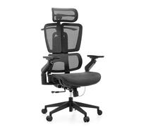 hjh Office Ergo U2 Pro3 - Silla de Oficina Profesional giratoria de Malla de Nailon - Soporte Lumbar Regulable en Altura - Regulación de la Profundidad del Asiento - Reposabrazos 6D - Negro