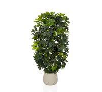 hjh OFFICE Planta artificial Schefflera 2 - Reproducción de hoja perenne aprox. 110 cm | Realmente real, mezcla de plástico de alta calidad, fácil de limpiar e inodora