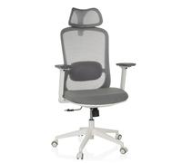 hjh OFFICE Silla de Oficina ergonómica MIKEO G Silla giratoria con Soporte Lumbar, Respaldo de Malla, reposacabezas Regulable en Altura, Asiento Acolchado, Gris