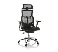 hjh OFFICE Silla de Oficina Profesional POFIT GEN2 Mesh Silla giratoria ergonómica con Soporte Lumbar Flexible, Negro, 652284