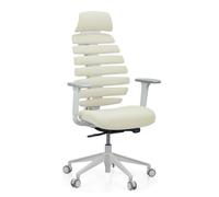 hjh OFFICE Silla de Oficina Profesional Silla giratoria Ergo Line W con Respaldo ergonómico Incl. Soporte Lumbar, Beige