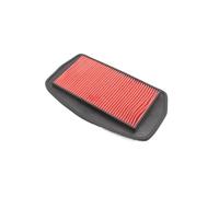 Hjiaodq Filtro Admisión Filtro De Aire De Motocicleta Limpiador De Admisión Y Filtración para FZ6 para F&Azer para FZ6-N para FZ6-NA para FZ6-NAHG para FZ6-NHG para FZ6-NS