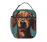 HJKJKKJ Bolsa de almuerzo para perro salchicha, lonchera a prueba de fugas, bolsa de almuerzo aislada para picnic y viajes