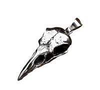 HJLJKG 925 Sterling Silver Crow Necklace For Men Women, Punk Rock Raven - Head Bird Pendant, Animal Charm Jewelry Halloween Christmas Birthday