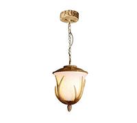 HJLJKG Chandelier, Antlers - V-intage Style Resin Ceiling Lamp, with Single Head, Peasant Style, Rural Chandelier, Living Room, Bar, Cafeteria, Dining Room, Deer