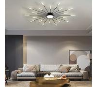 HJLJKG Chandelier,Chandeliers Ceiling Light, LED Ceiling Lights Compatible with Living Room,Home Fireworks Ceiling Lighting Chandeliers Ceiling Light Fittings,Chandelier Ceiling Pendant Lights,