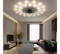 HJLJKG Chandelier,Chandeliers Ceiling Light, LED Ceiling Lights Compatible with Living Room,Home Fireworks Ceiling Lighting Chandeliers Ceiling Light Fittings,Chandelier Ceiling Pendant Lights,