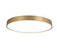 HJLJKG Chandelier, Minimalist Round LED Ceiling Light and Ceiling Lamp Ultra-Thin 1.9 Inches, Three-Tone Flush Mount Fixture for Bedroom, Living Room, Study Room Easy to Install Lighting(30cm)