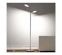 HJLJKG Eye Protection Floor Lamp, Double Lamp Creative Tall Pole Lamp Adjustable Direction of Light for Office Bedroom Decoration