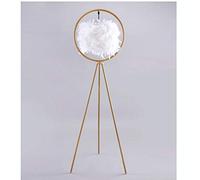 HJLJKG Floor Lamp Novelty Lamps,Floor Lamp Feather Nordic Living Room Bedroom Warm Bedside Vertical Table Lamp Golden Creative Decoration 12W Standing Light (Color : Black)