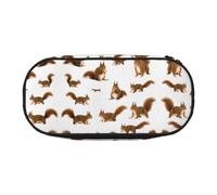 HJLUUFT Bonito estuche con estampado de ardilla, simple, resistente, multifuncional, organizador de papelería de oficina