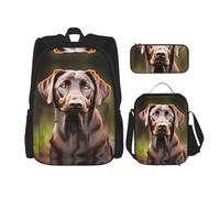 HJLUUFT Brown Labrador Retriever - Juego de mochila grande con lonchera y estuche para lápices, juego de mochila, elegante y práctico