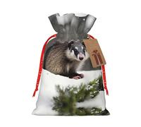 HJLUUFT Opossum In Snow - Bolsa de lino de arpillera con estampado de nieve, regalos de fiesta de Navidad, bolsa de regalo para regalos, varios tamaños (S, M)