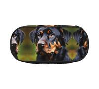 HJLUUFT Rottweiler - Bolsa de maquillaje con estampado de patrón Kawaii, estuche organizador con cremallera