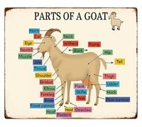 HJNAOKGWHQ Goat Anatomy Diagram Funny Metal Sign for Man Cave Farm Bedroom Living Room Wall Decor 8 X 12 in