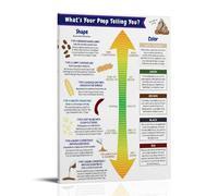 HJNAOKGWHQ The Bristol Chart Educational Poster, Human Biology Diagram, Science Wall Art for Classroom or Study(Framed,16x24inch(40x60cm))