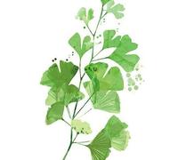 HJOSWVNS Laminas Decorativas Pared Hojas Verdes Esmeraldas Decoración Salon Laminas para Cuadros Cuadros Decoracion Salon Modernos Dormitorios Lienzos Decorativos Sin Marco 20x30cm/1 Pcs