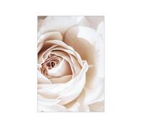 HJOSWVNS Laminas Decorativas Pared Rosas Beige Decoración pared Salon Laminas para Cuadros Sin Marco Cuadros Decoracion Salon Modernos Dormitorios Lienzos Decorativos Sin Marco 30x40cm/1 Pcs