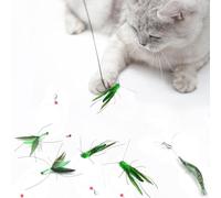Hjvvr 5 juguetes para gatos, juguetes de plumas de gato, juguete de juguete para gatos, insectos simulados para gatos (no incluye carretera)