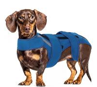 Hjyokuso Soporte de espalda para perro, chaleco de apoyo ajustable para IVDD, disco deslizado, hernia de disco, artritis, recuperación postoperatoria, alivio del dolor de espalda para perro salchicha