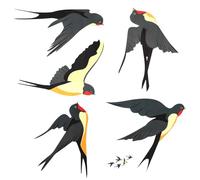 HJZHII 5 pegatinas anticolisión para ventanas, forma de golondrinas, atrapasueños, estáticas, para ventanas y puertas, evita golpes de pájaros