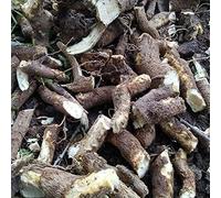 HK Pushkarmool Inula racemosa 250g Otros nombres son Pushkarmool, Pushkarmool, Orris, Root, inula, racemosa, Pokharmool, Puskara mula, Pohakarmul, Puskar