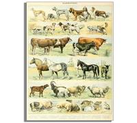 HKAHF AJWUQ Famoso arte de pared de Claude Monet, póster de jardín de Claude Monet, impresión moderna en lienzo para sala de estar, decoración del hogar, 30 x 40 cm, sin marco