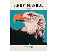 HKAHF AJWUQ Famosos pósteres de Andy Warhol con águila calva, impresión abstracta de Andy Warhol, lienzo retro para decoración de sala de estar, 60 x 90 cm, sin marco