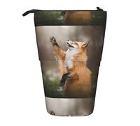 HKHLHLH Estuche telescópico con diseño de zorro animal, para niñas, niños y estudiantes, Black, Talla única, Organizador de bolsas