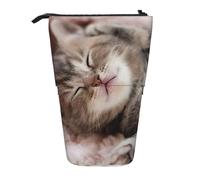HKHLHLH Estuche telescópico para lápices, diseño de gato durmiendo, para niñas, niños y estudiantes, Black, Talla única, Organizador de bolsas