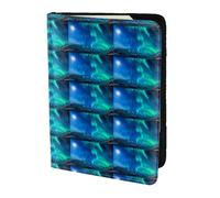 HKHLHLH Northern Lights1 - Funda para pasaporte de 5.5 pulgadas con organizador de tarjetas de crédito para viajes, Black, Talla única
