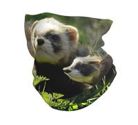 HKHLHLH Wildlife - Calentador de cuello de hurón, pasamontañas multifuncional, máscara facial con protección contra el viento para clima frío al aire libre