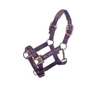 HKM Alva Cabestro Lila Mini Shetty