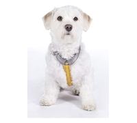 HKM ANAM Cara - Arnés para Perros (Amarillo), Color Gris