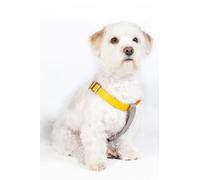 HKM ANAM Cara - Arnés para Perros, Color Gris Pardo/Dorado, Talla L