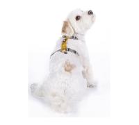 HKM ANAM Cara - Arnés para Perros (Parto), Color Amarillo Dorado