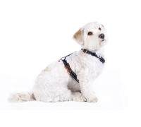 HKM ANAM Cara Basic - Arnés para Perros Schwarz/Rosegold L