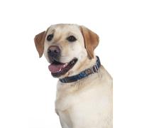 HKM ANAM Cara Collar para Perro Gris Pardo/Goldgelb XL