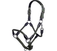 HKM Carlotta Cabezada Caqui Pony