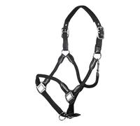 HKM Carlotta Cabezada Negro Pony