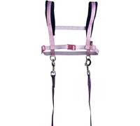 HKM Funny Horses Hearts - Arnés para Caballo, Color Rosa/Azul Oscuro, Talla única