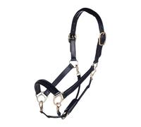 HKM Gold Cabestro De Cuero Warz Pony