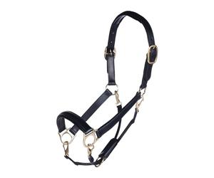 HKM Gold Cabestro De Cuero Warz Pony