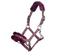 HKM Heart Funda Nrot Mini Shetty