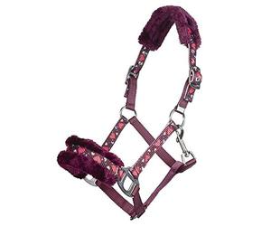 HKM Heart Funda Nrot Mini Shetty