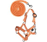 HKM Hobby Horsing - Juego básico de cabestro y punto para caballos (naranja)