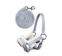 HKM Hobby Horse – Juego de cabezada y ramal – Gris One Size