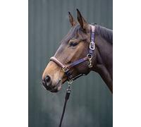 HKM Luna Cabestro De Cuero Raun Warmblut